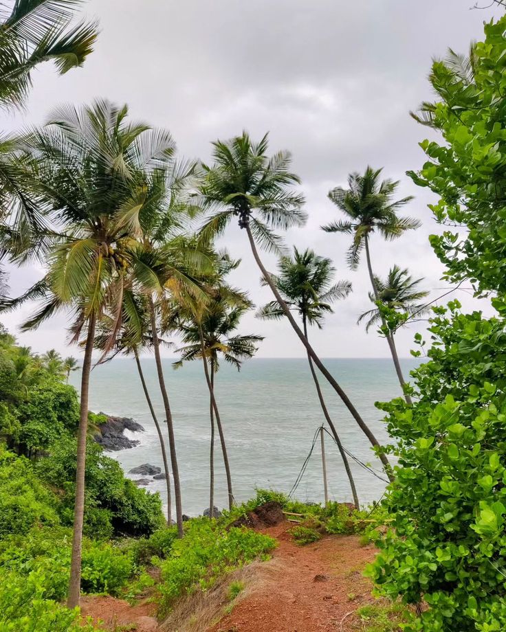 goa beaches